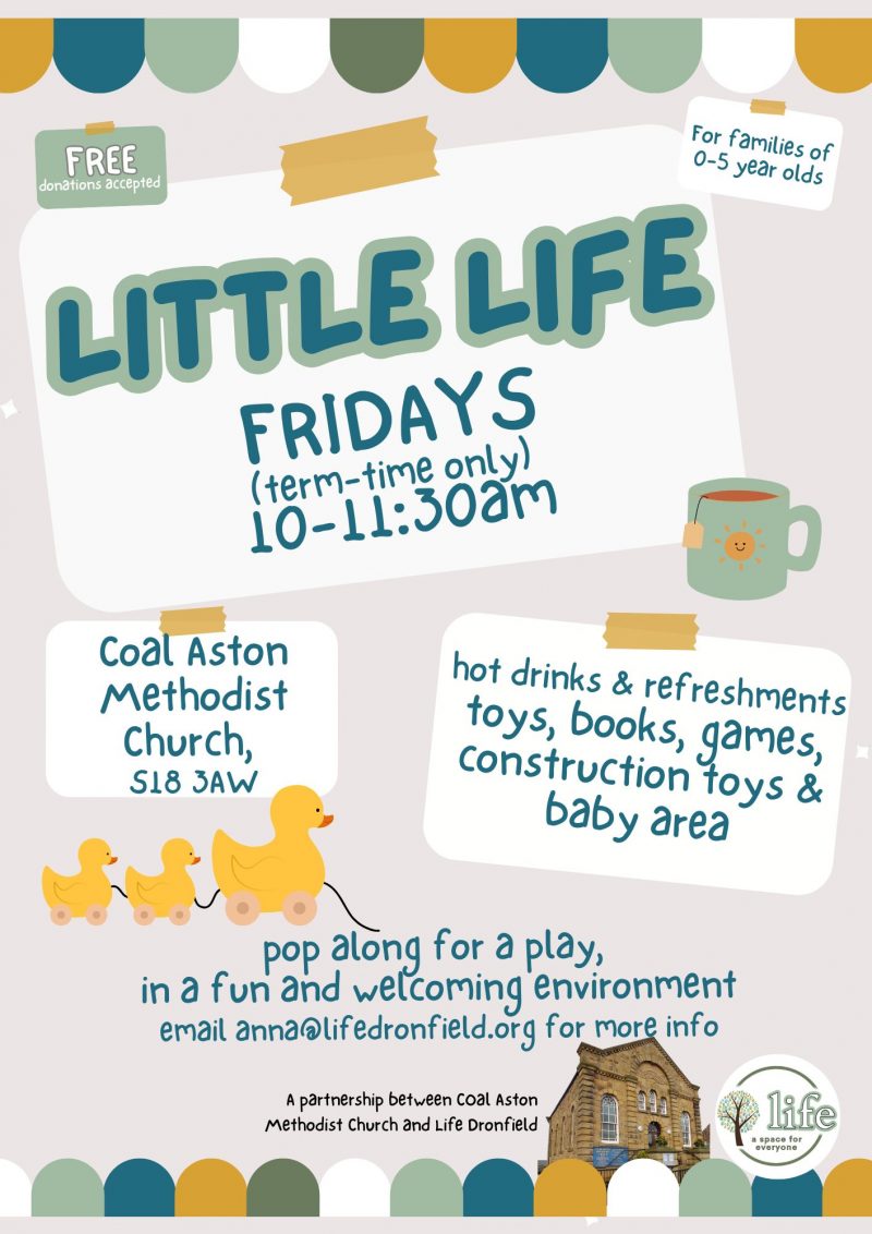 little-life-coal-aston